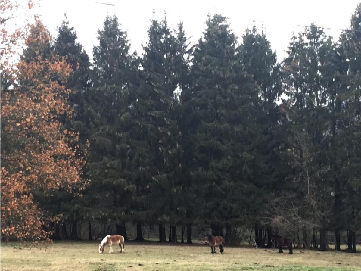La Chenaie Villa Vresse-sur-Semois Exteriör bild